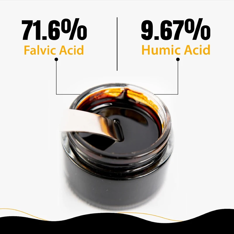 Resina de Shilajit Pura do Him - Shilajit Resin Pure avaliação e preço