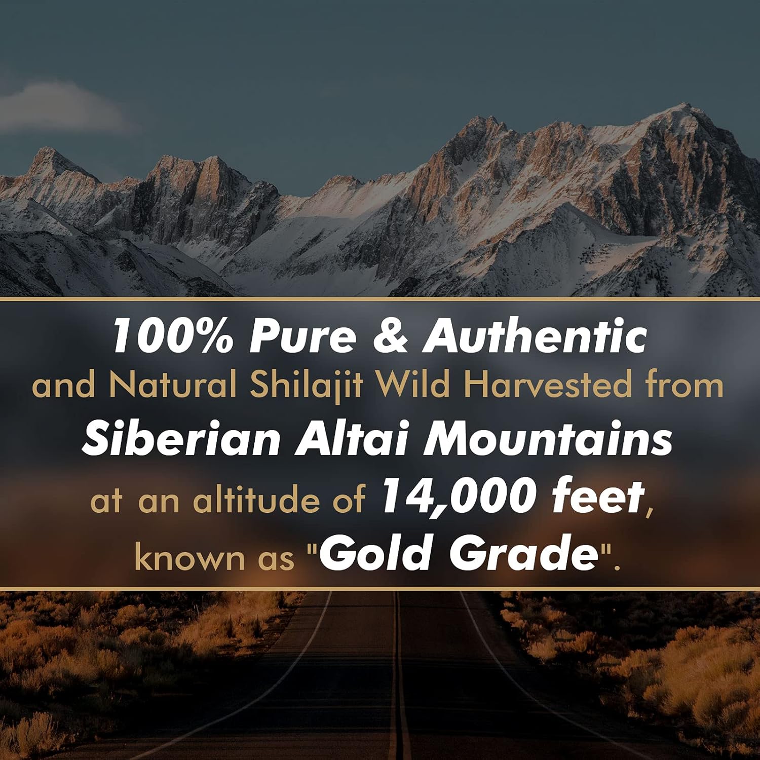 Resina Shilajit Pura Original  - Shilajit Resin Pure avaliação e preço