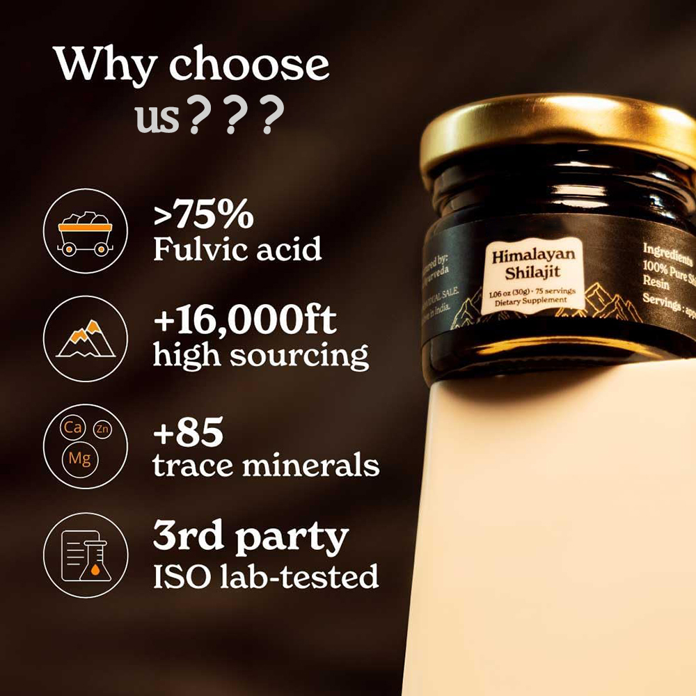 Shilajit Puro do Himalaia, Res - Shilajit Resin Pure avaliação e preço