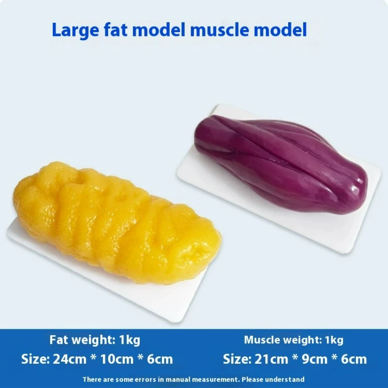Réplicas de Músculos e Gordura - Nutrition Fitness And Health avaliação e preço