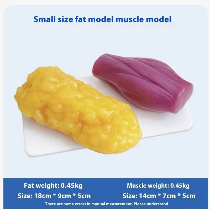 Réplicas de Músculos e Gordura - Nutrition Fitness And Health avaliação e preço